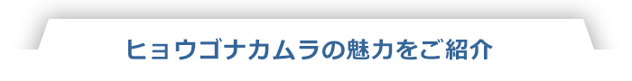 ヒョウゴナカムラの魅力をご紹介